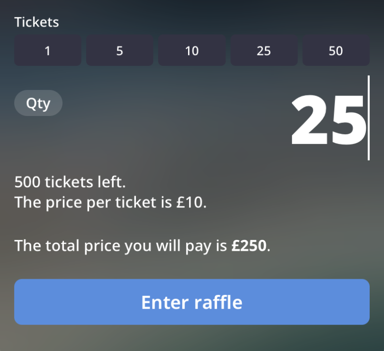 BidAid raffle ticket purchase